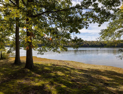 Is Lake Anna a good place to retire?